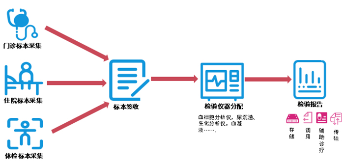 LIS系统